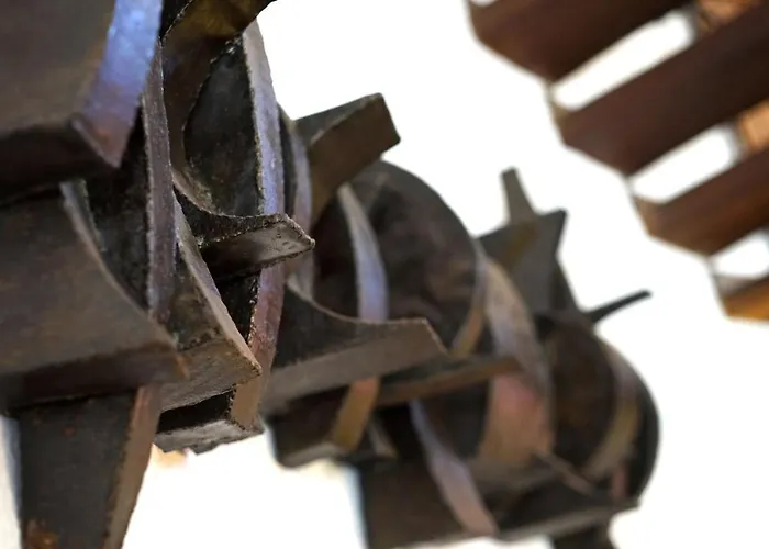 El Bikoro Поланко